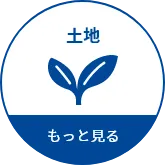 土地