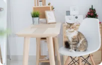 ペット可マンション
